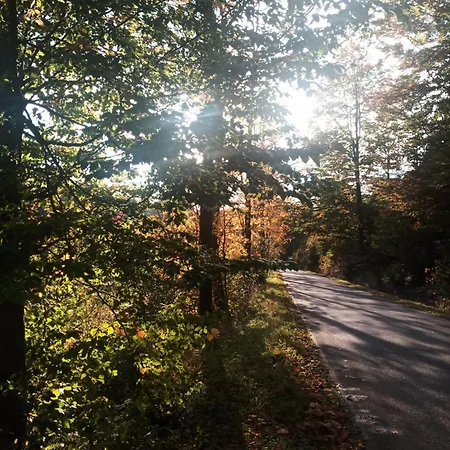 Semesterbostad Mamchwilkehome *