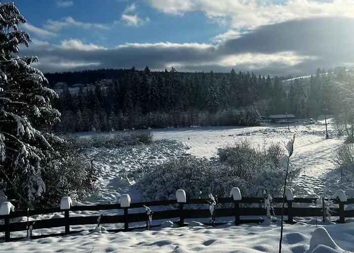 Holiday home Mamchwilkehome