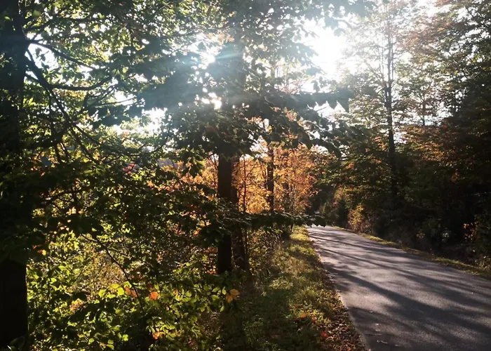 Holiday home Mamchwilkehome *